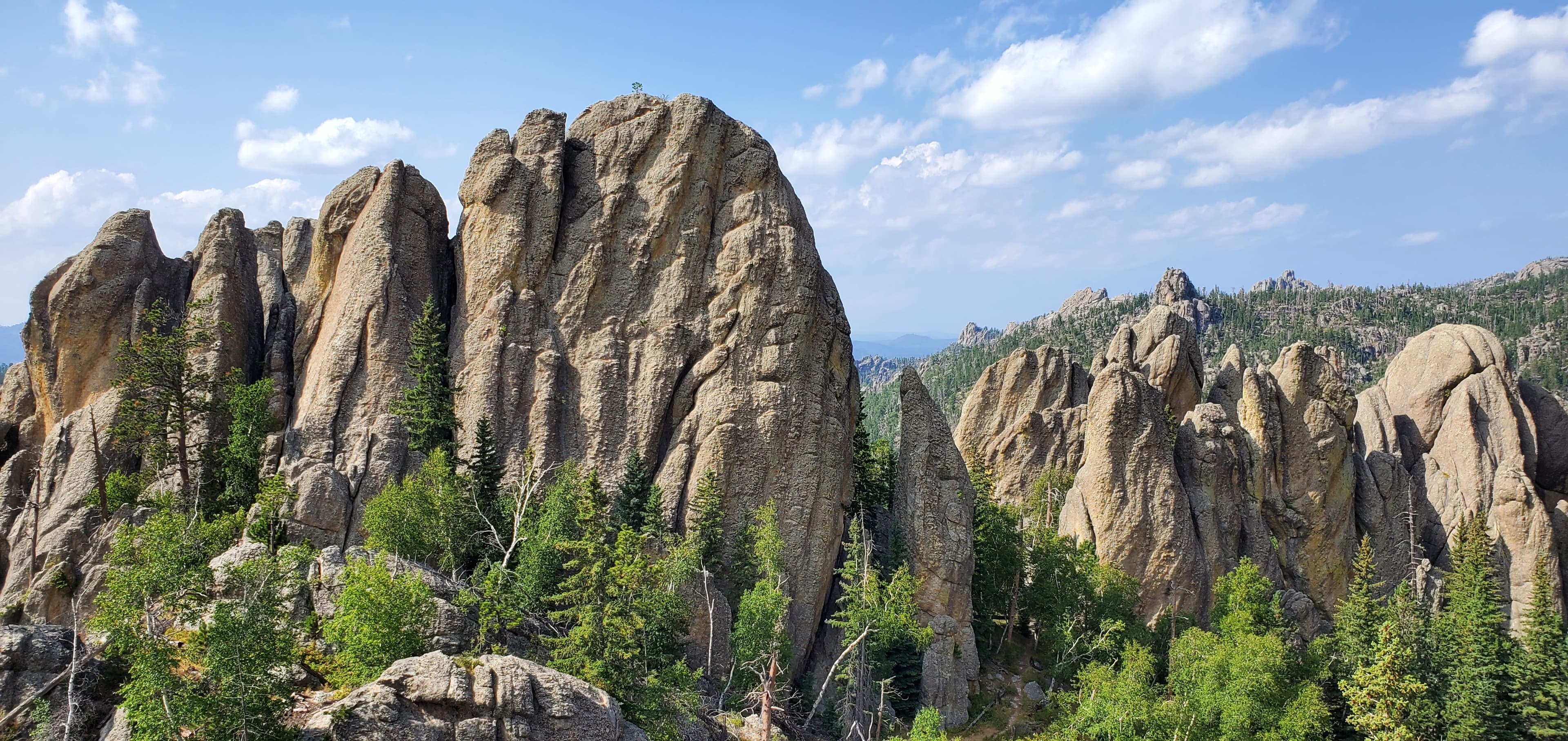 custer state park