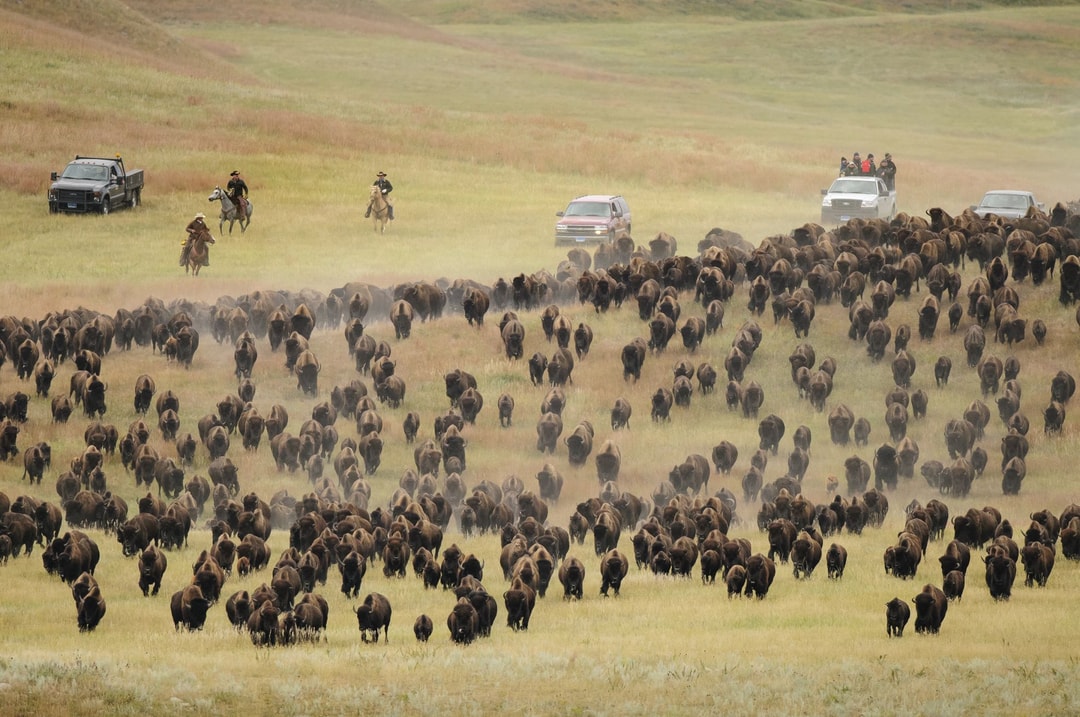 Custer Chamber of Commerce