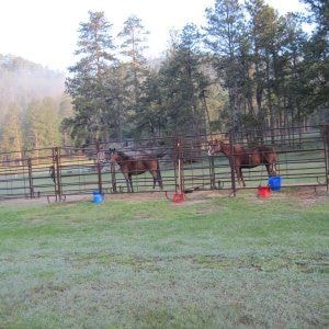 French Creek Horse Camp