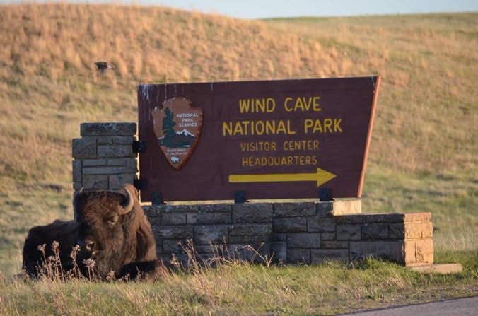 Wind Cave National Park