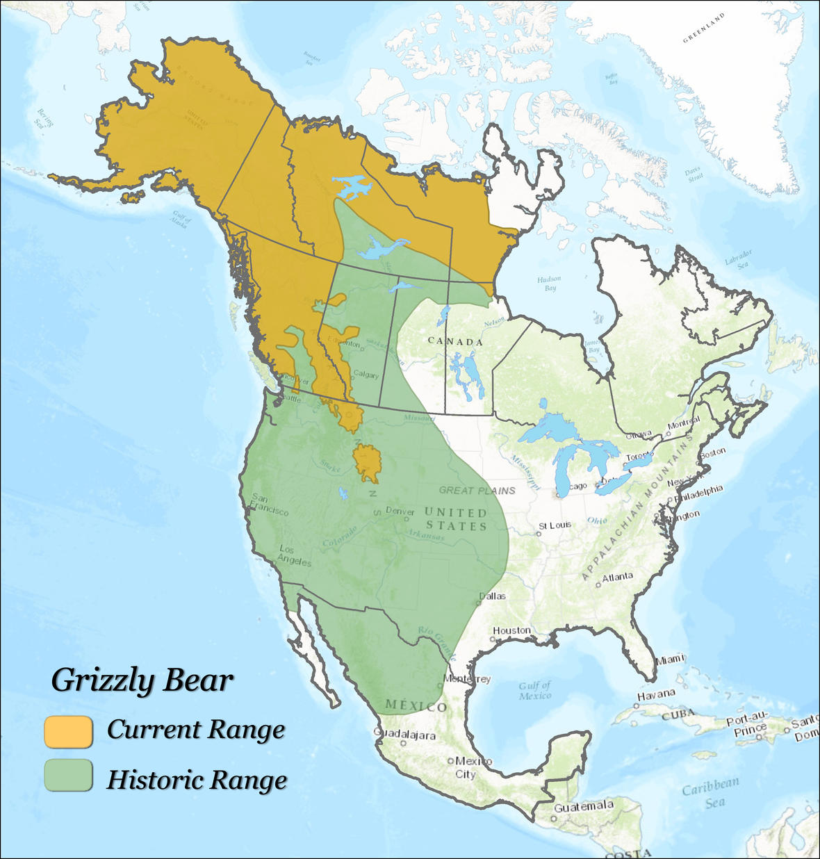 Grizzly Bear Range Map 2024 - Molli Theresa